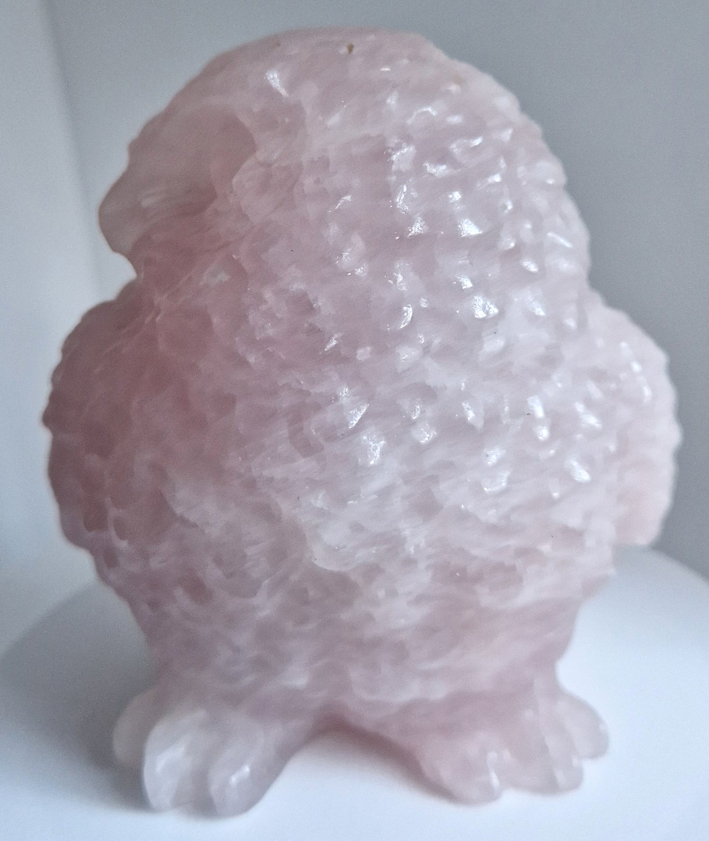 Rozenkwarts Uil (Realistisch)