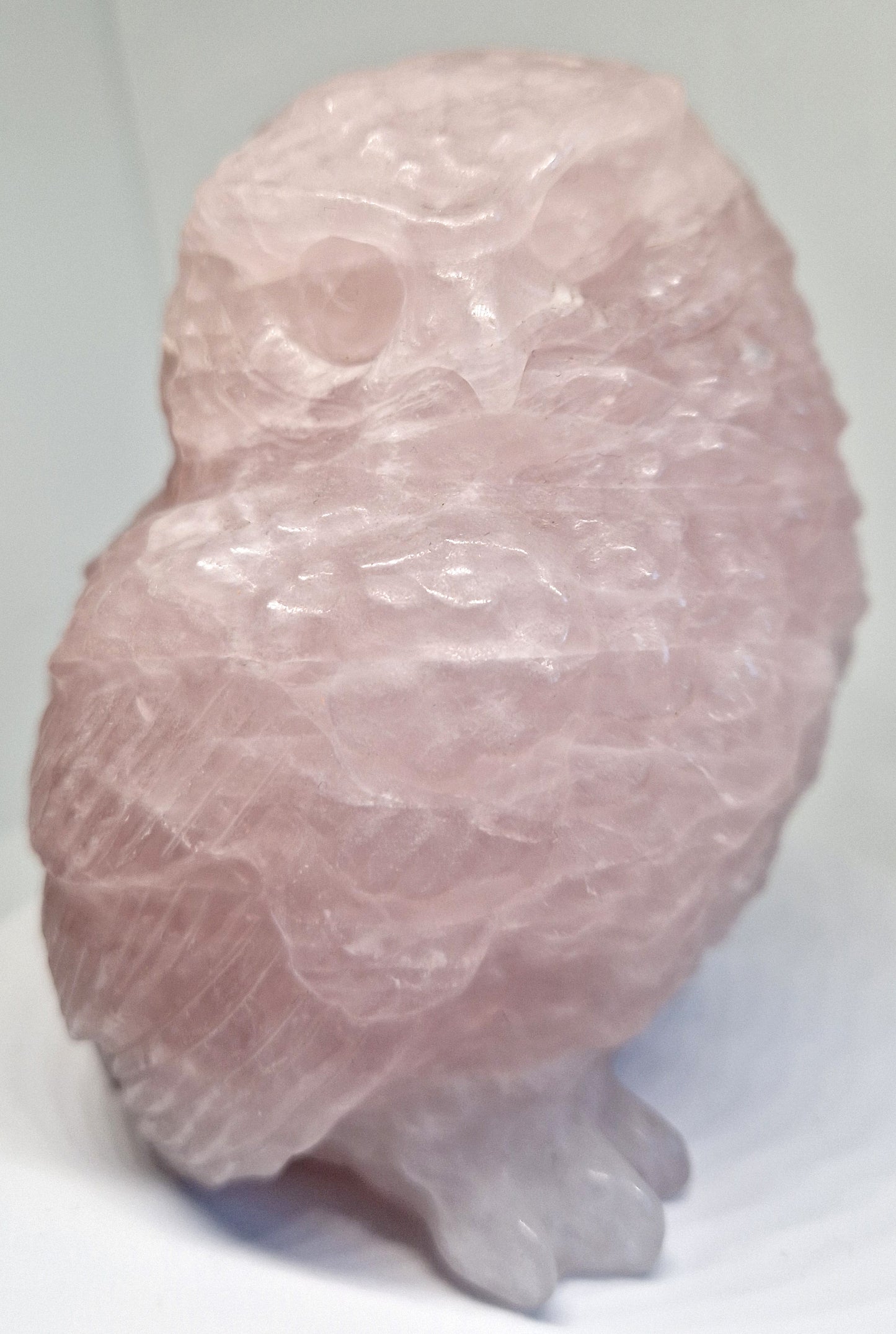 Rozenkwarts Uil (Realistisch)