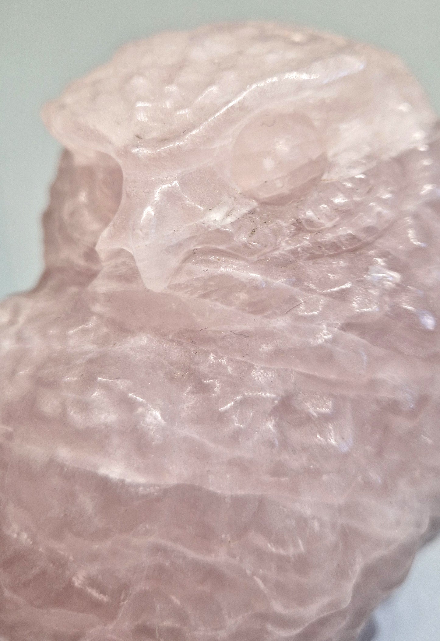 Rozenkwarts Uil (Realistisch)