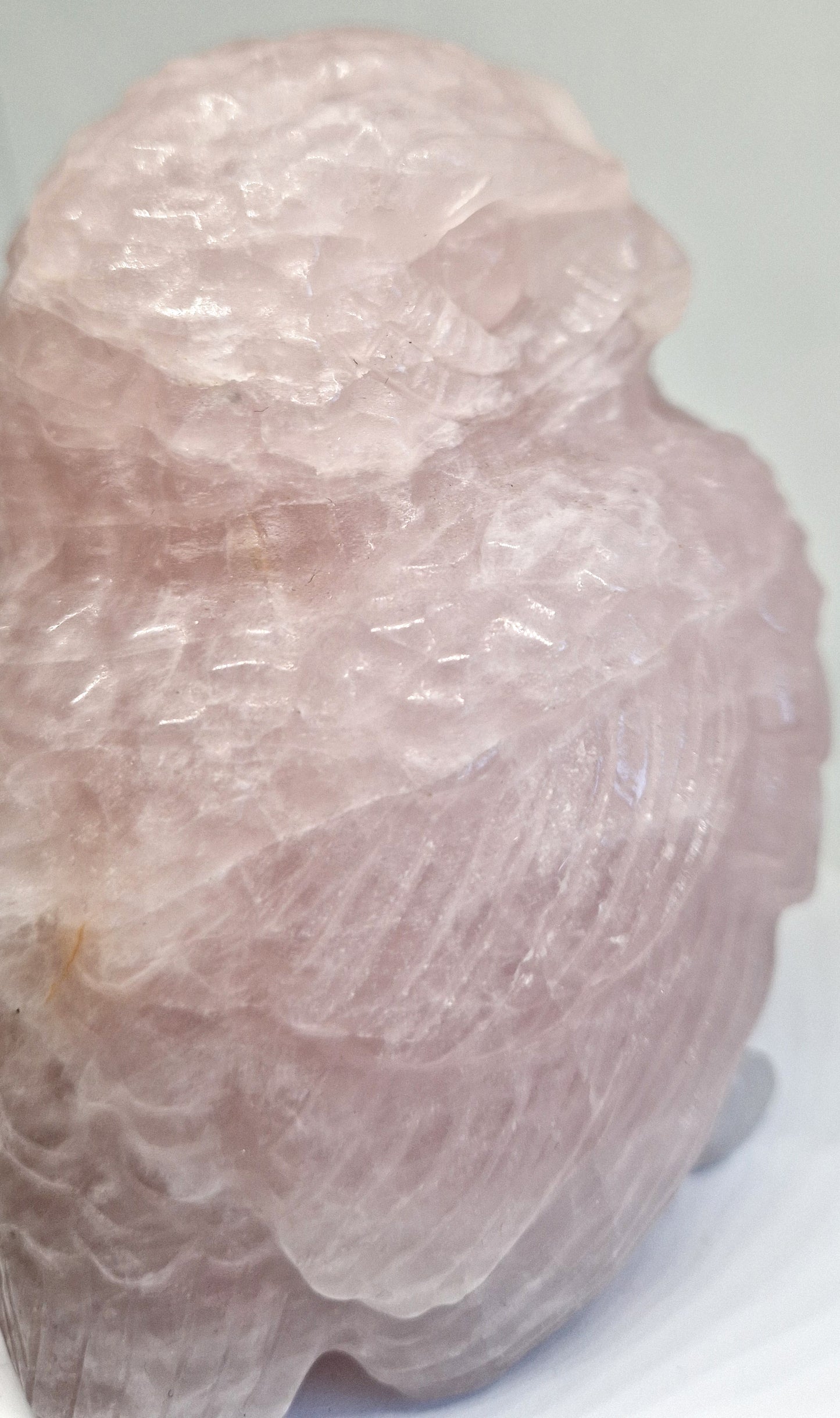 Rozenkwarts Uil (Realistisch)