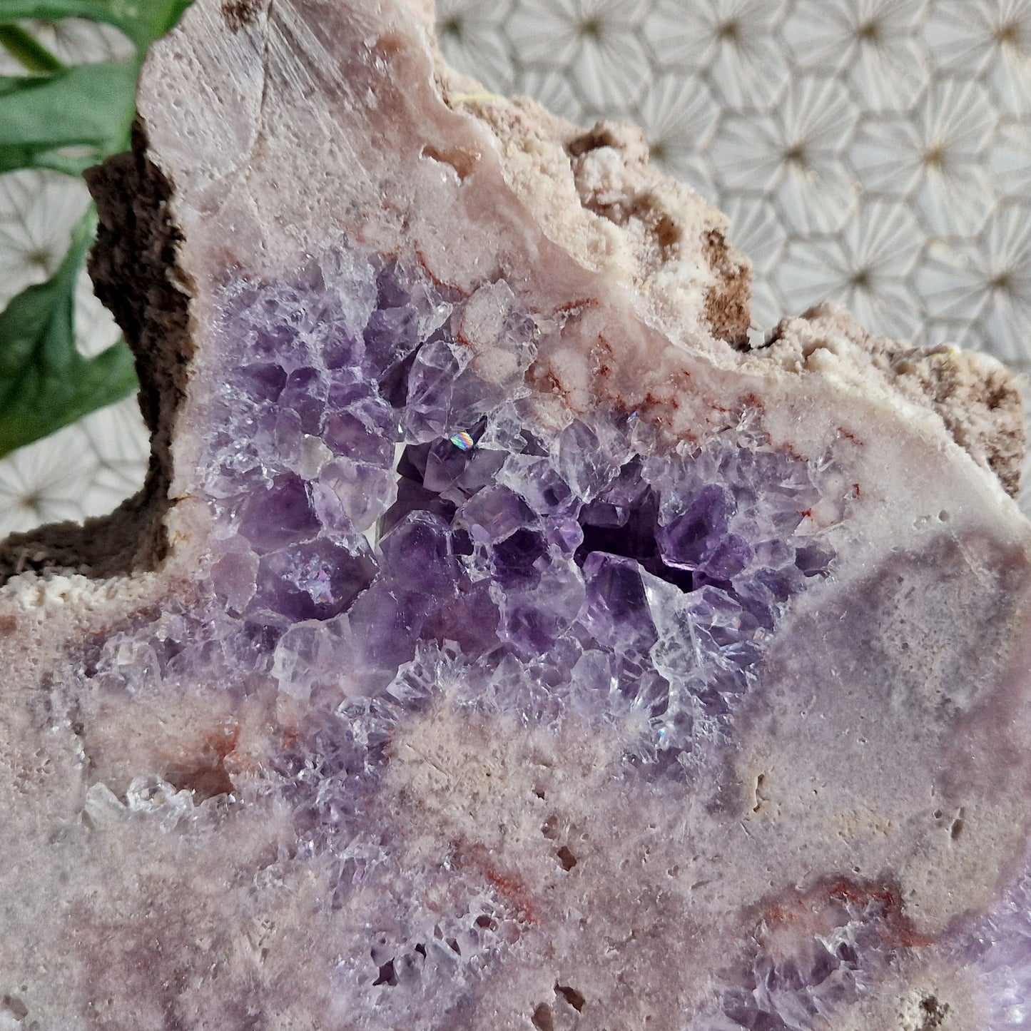 XL Amethist (Roze) met Amethist Clusters (Paars) schijf op standaard