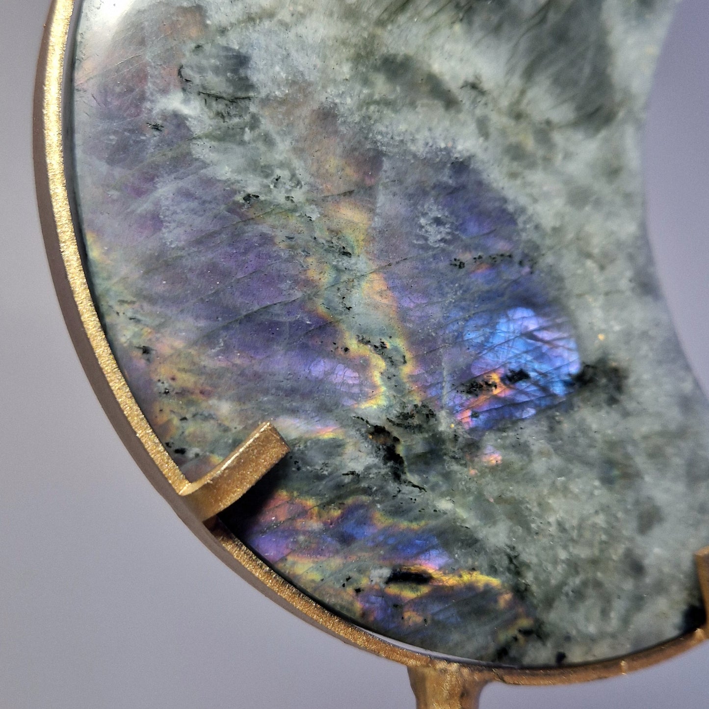 Labradoriet Maan met standaard