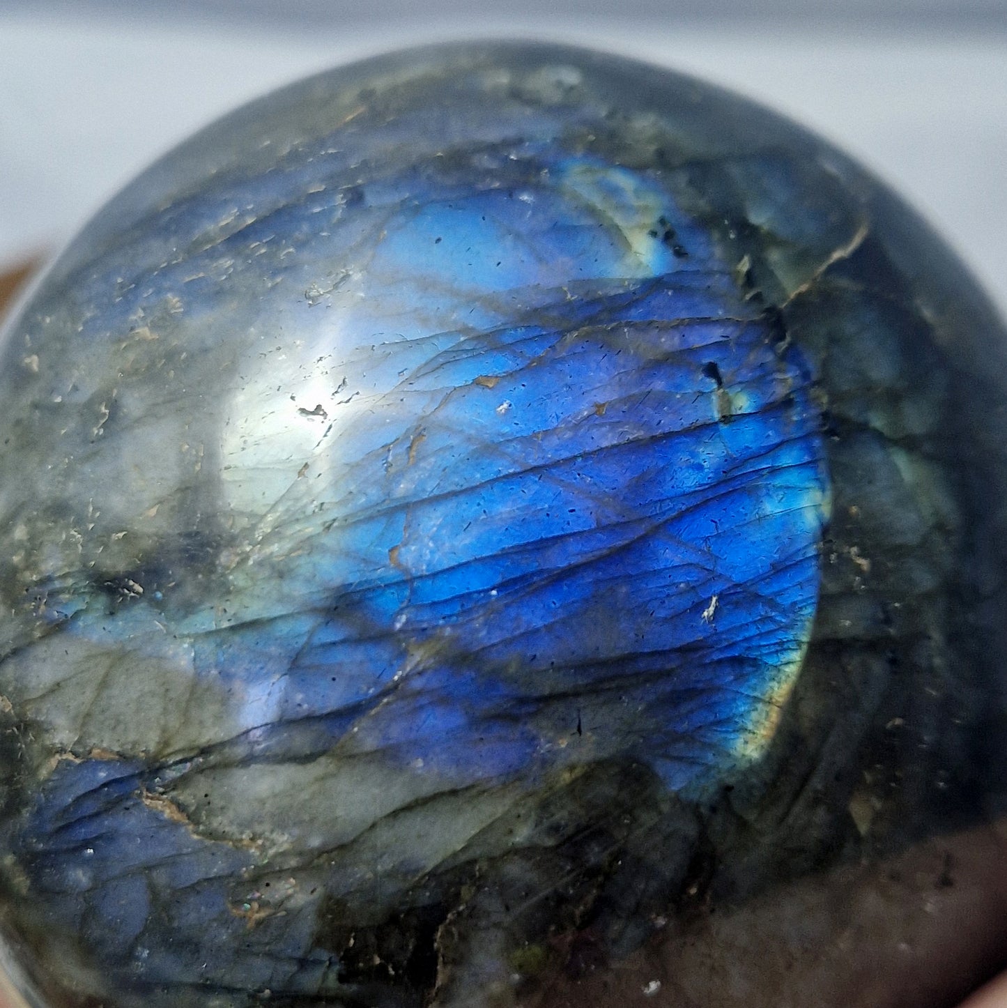 Labradoriet Bol (8cm)