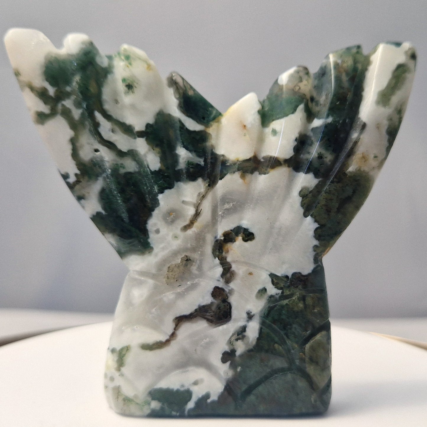 Mosagaat Mermaid's Tail