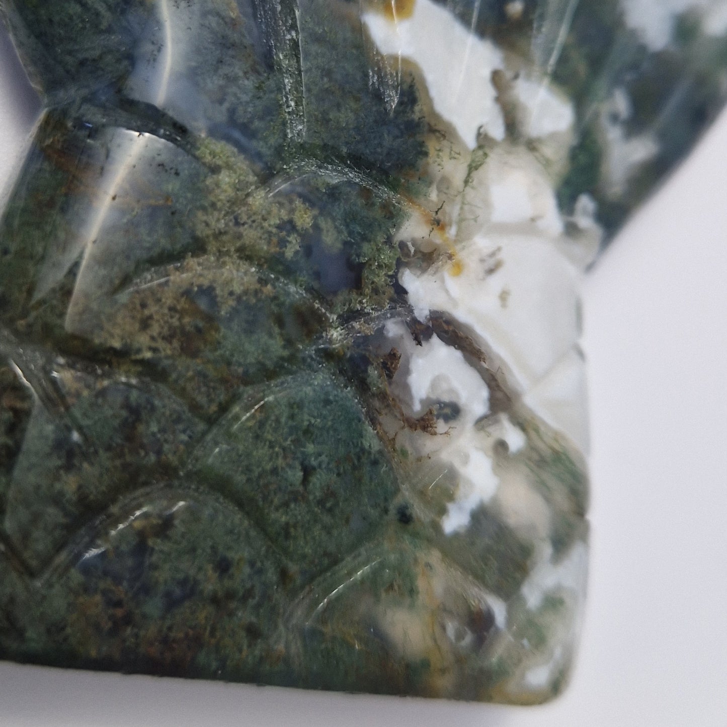 Mosagaat Mermaid's Tail