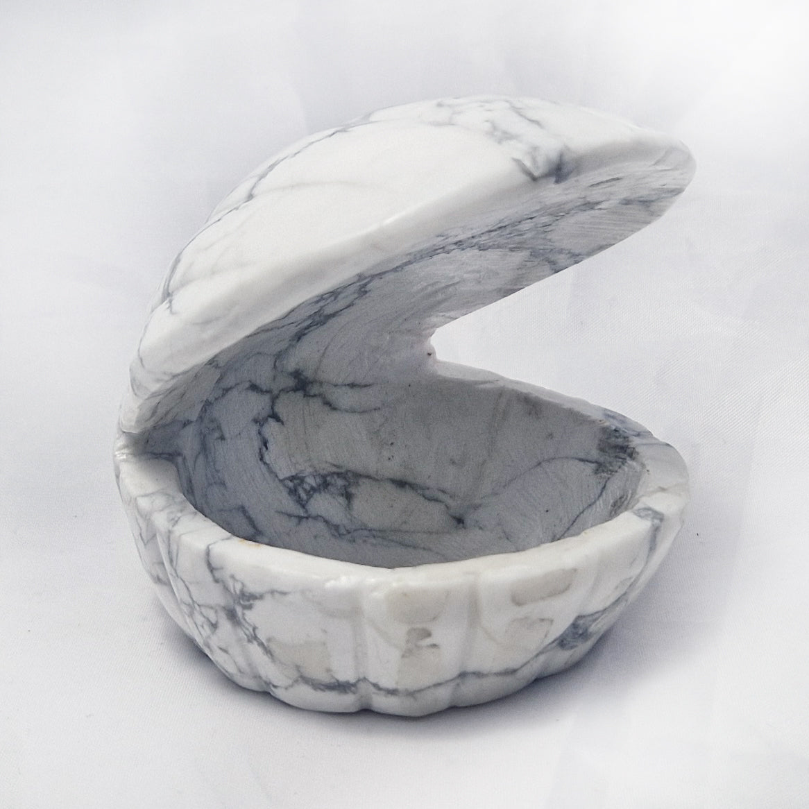 Howliet Schelp (schaaltje)