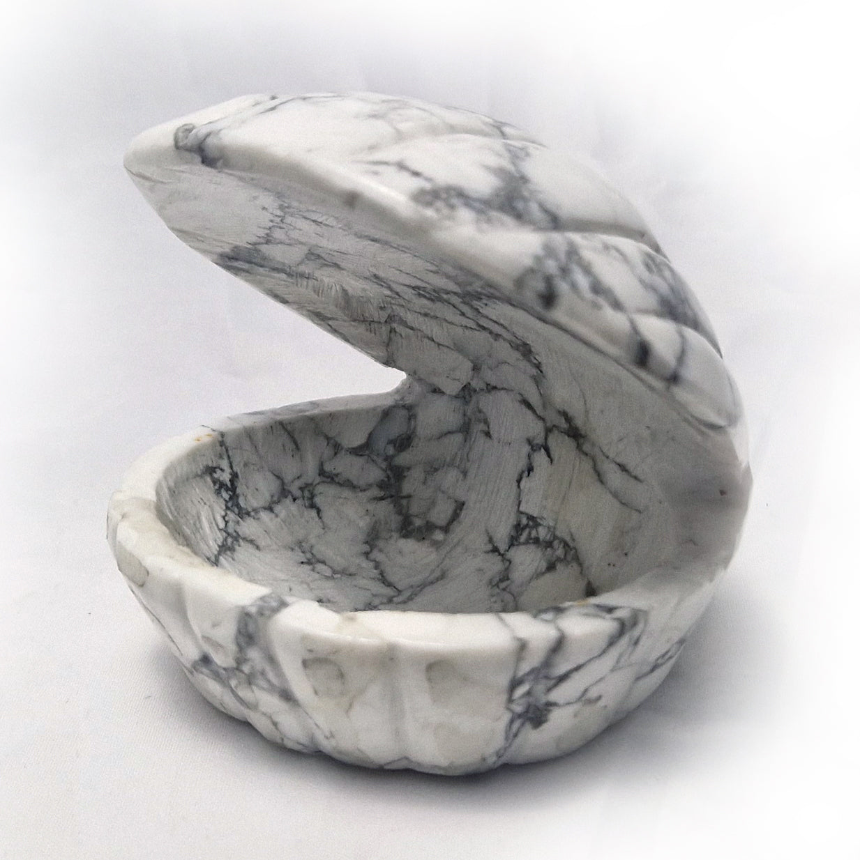 Howliet Schelp (schaaltje)