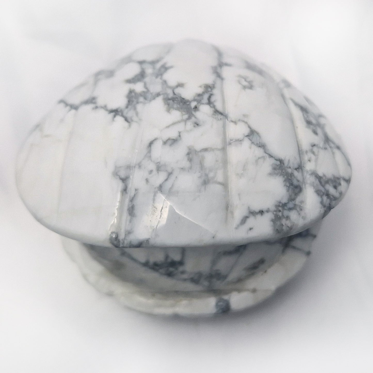 Howliet Schelp (schaaltje)