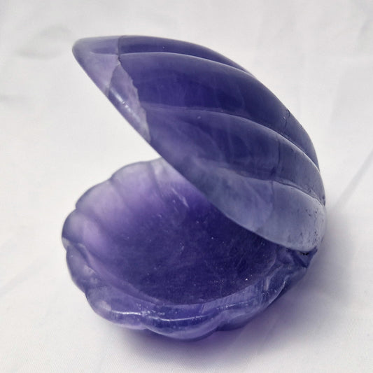 Fluoriet Schelp (schaaltje)