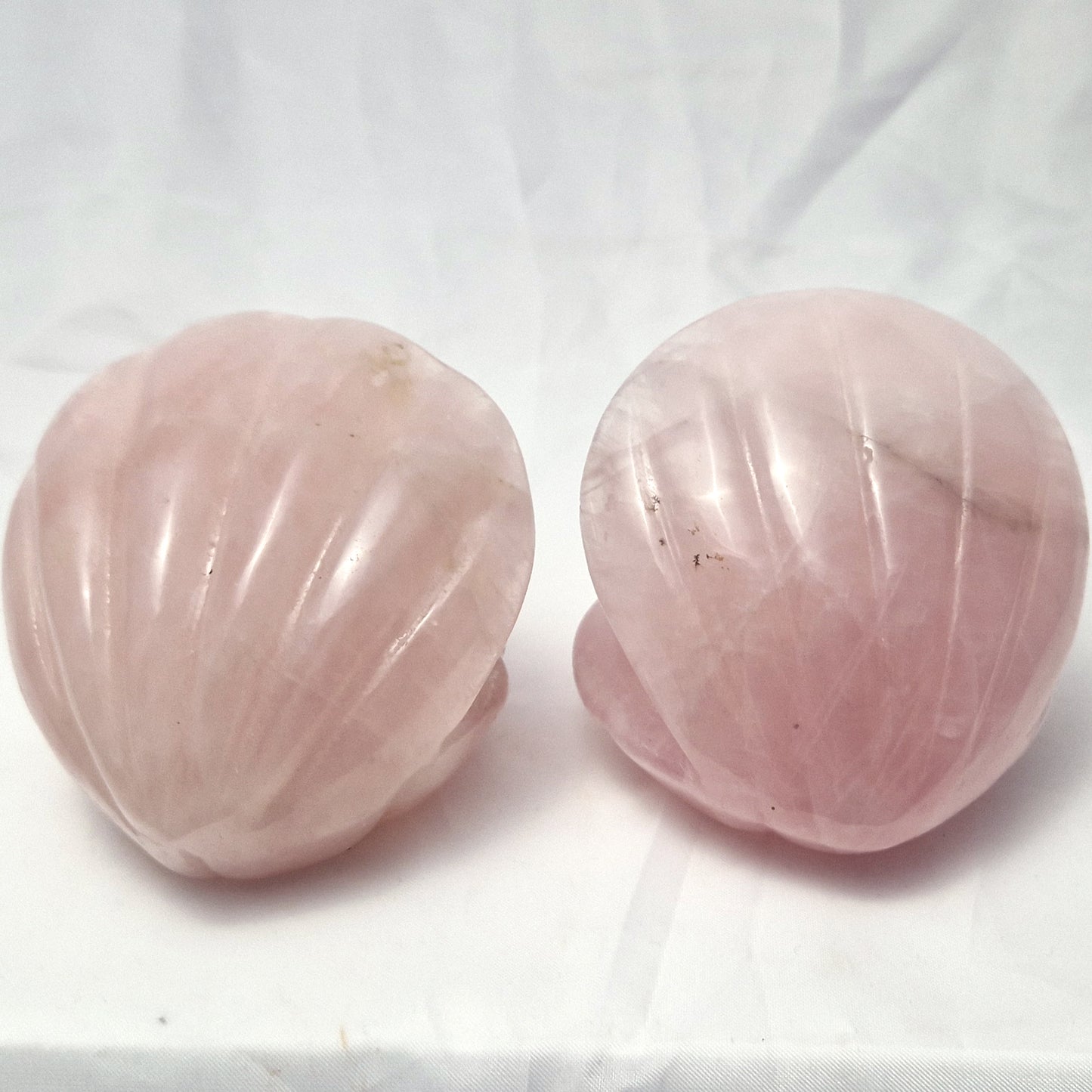 Rozenkwarts Schelp (schaaltje)