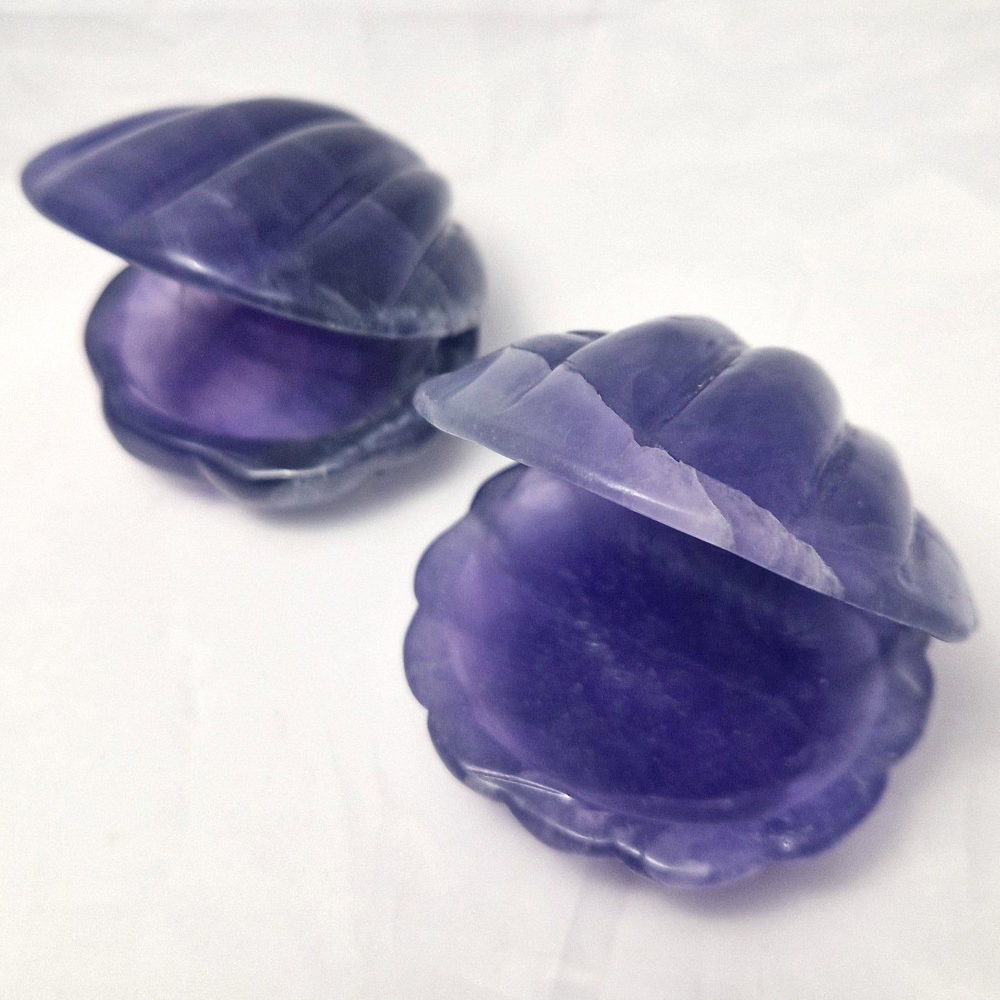 Fluoriet Schelp (schaaltje)