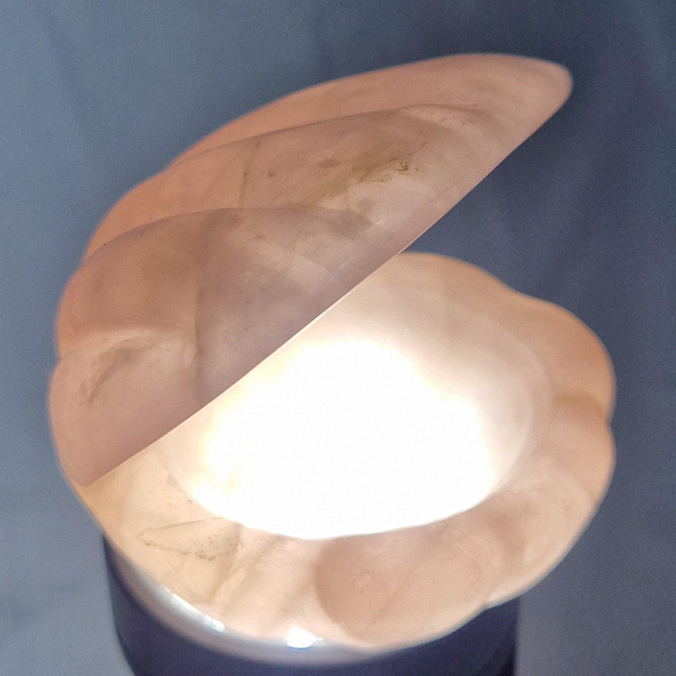 Rozenkwarts Schelp (schaaltje)