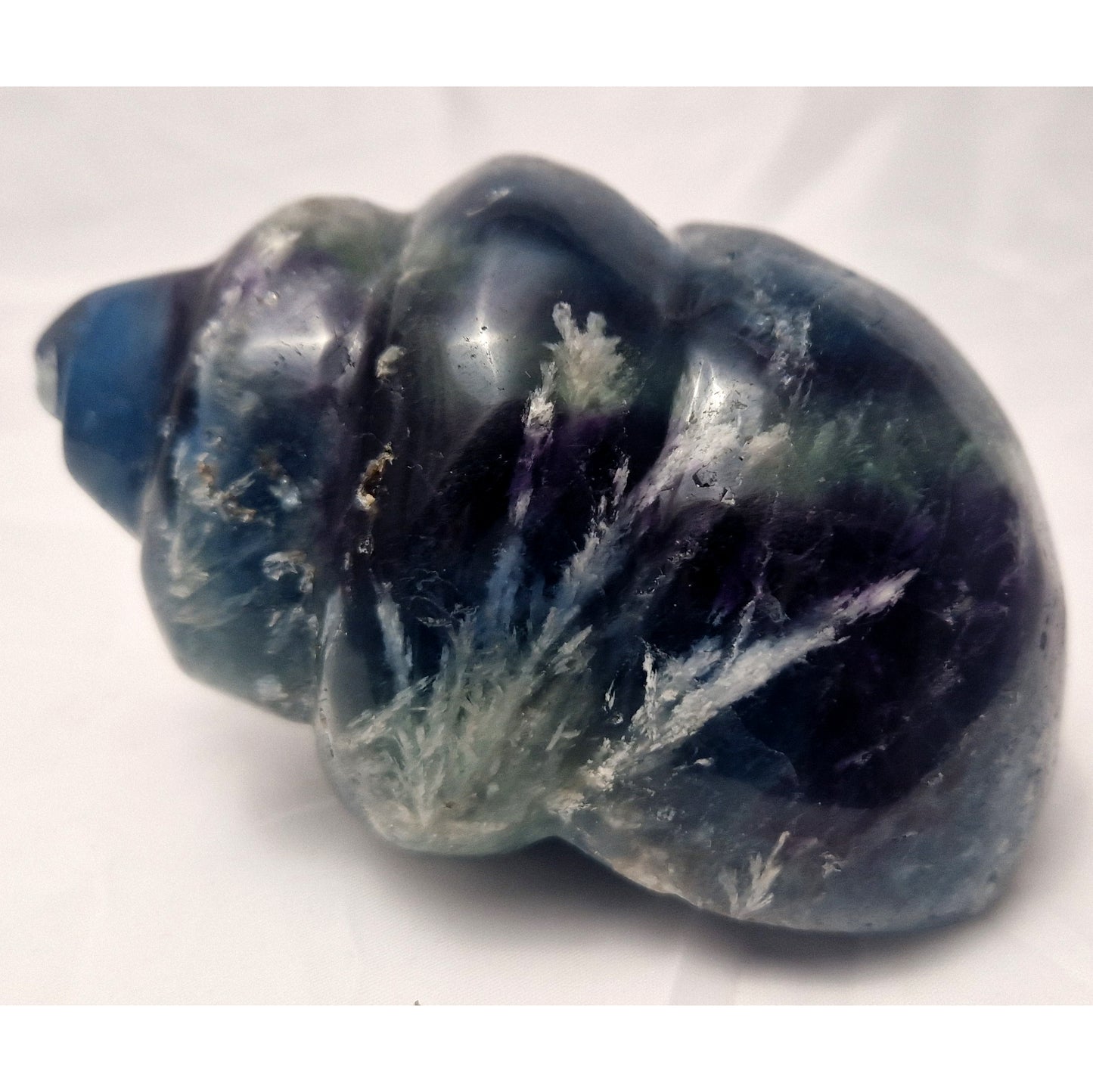 Fluoriet Schelp (Wulk)