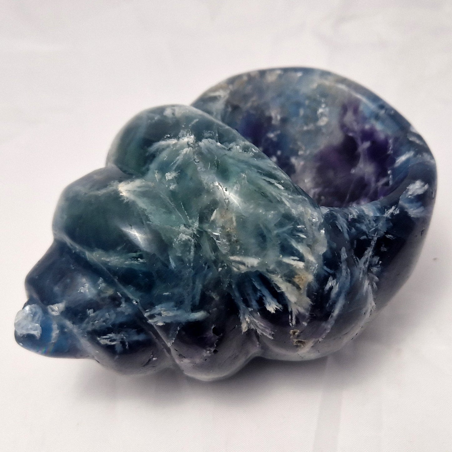 Fluoriet Schelp (Wulk)