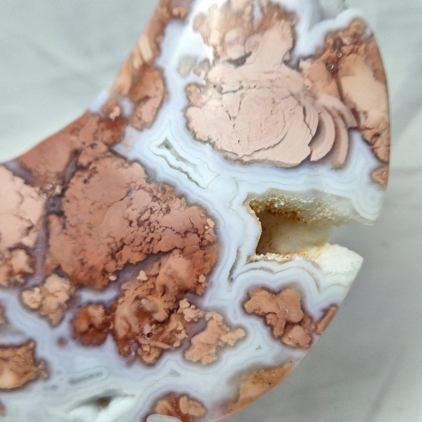 Bloemagaat (Roze) Maan