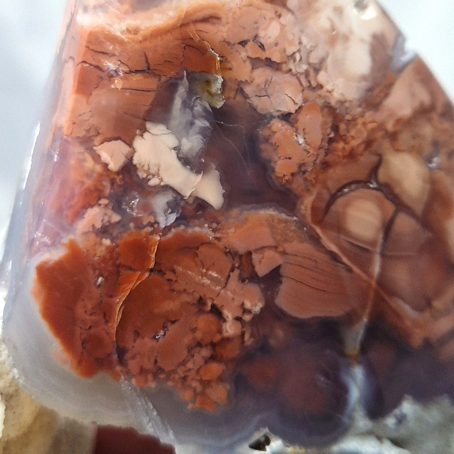 Bloemagaat (Roze) Maan