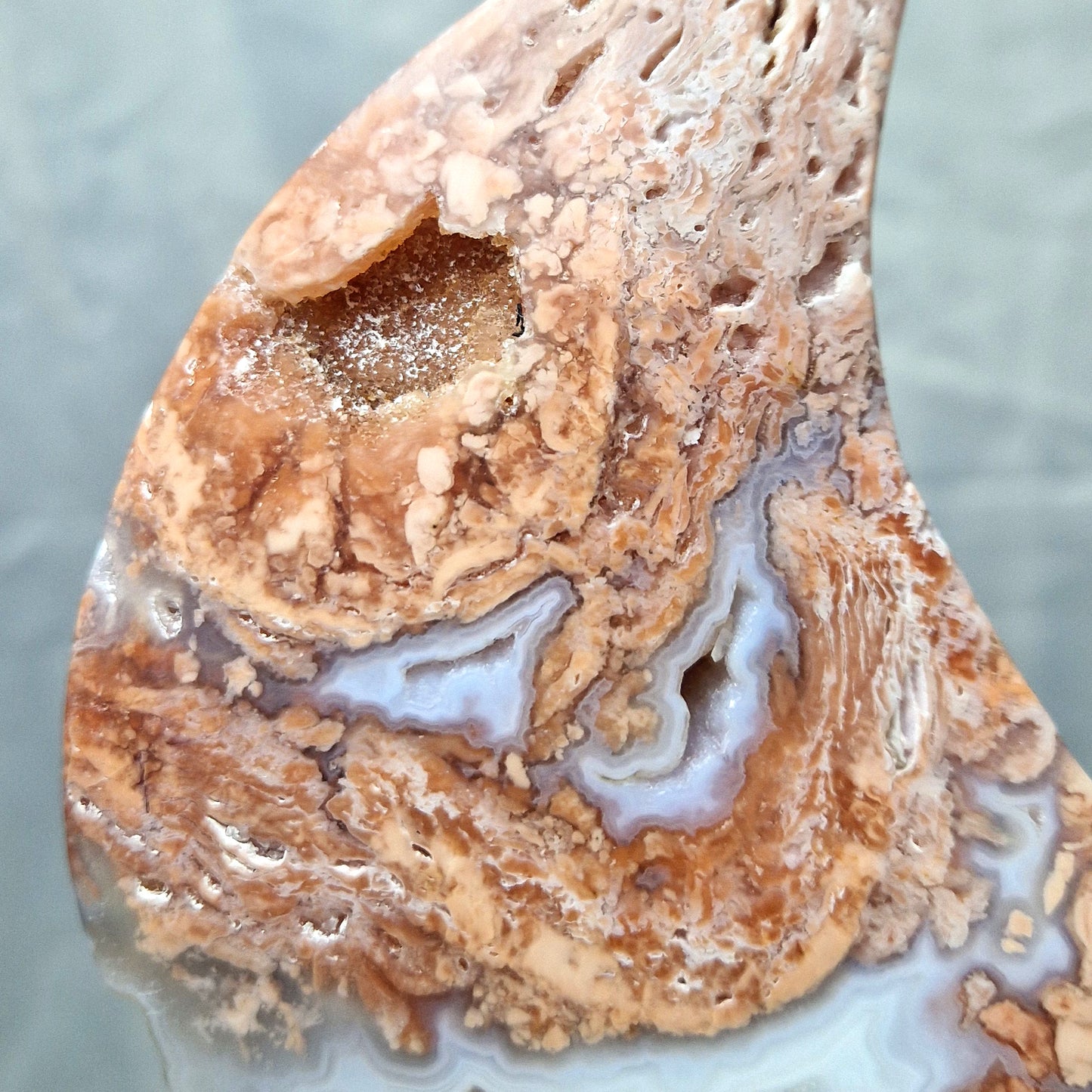 Bloemagaat (Roze) Maan