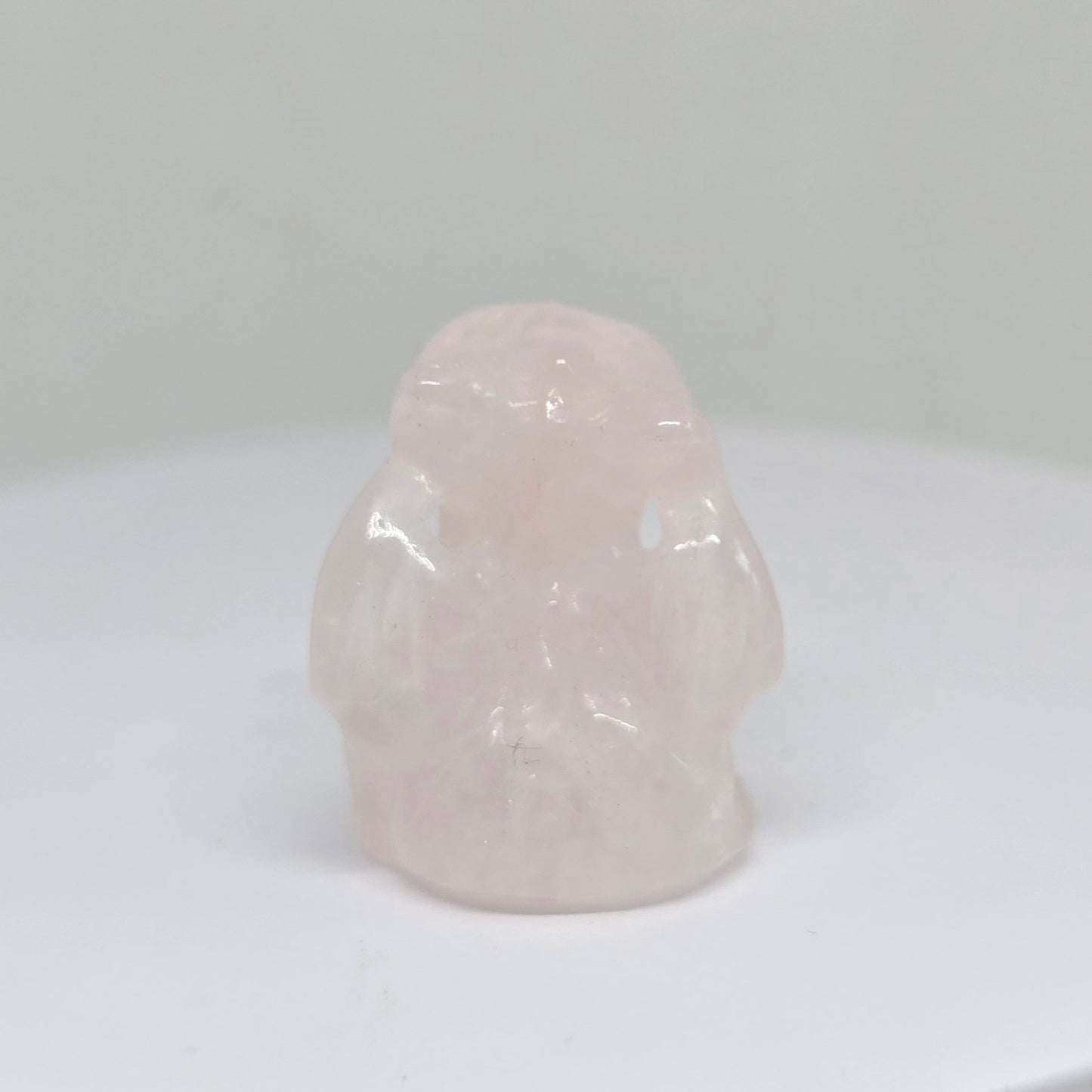 Rozenkwarts Toothless (How to train your Dragon)