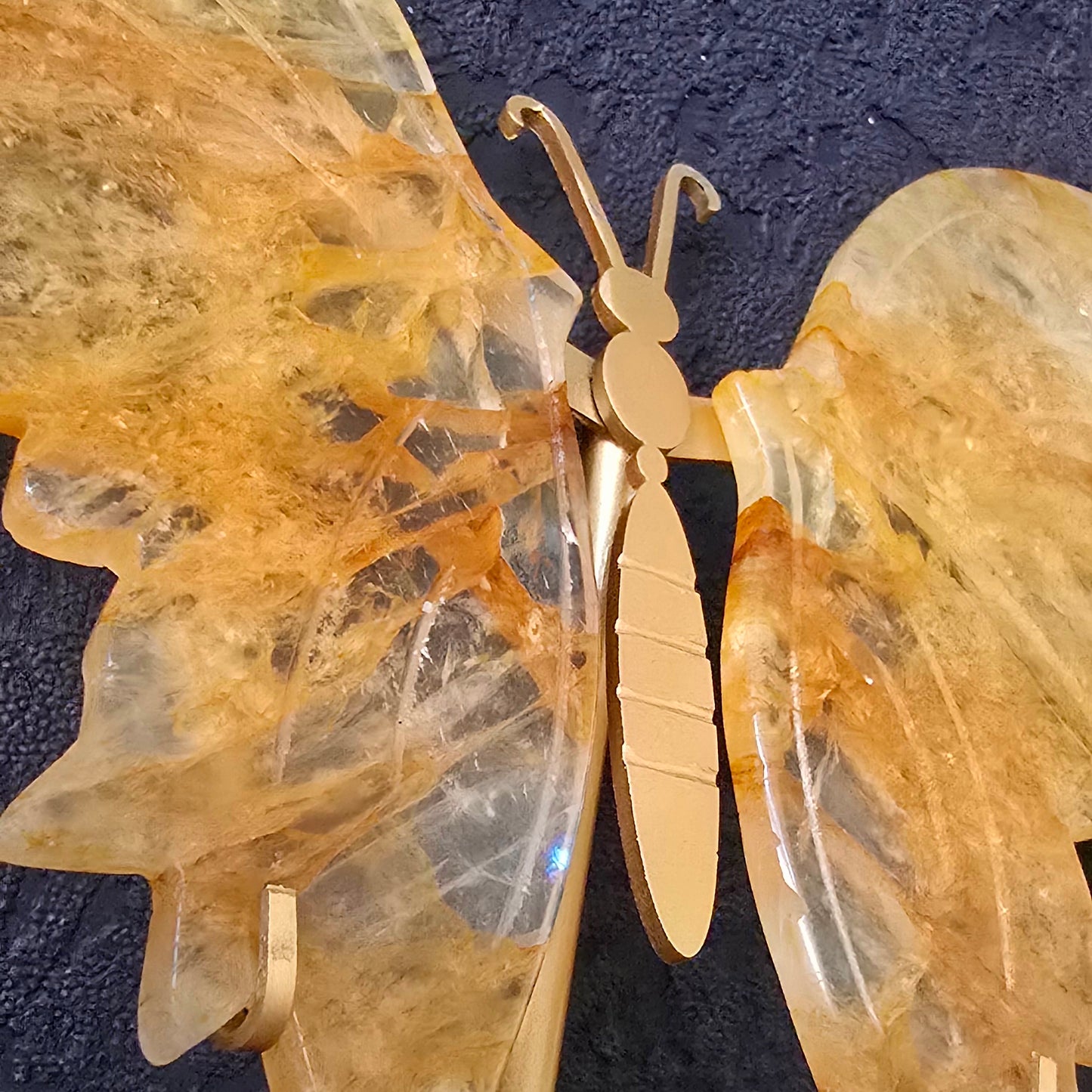 Vlinder Limoniet (Golden Healer)