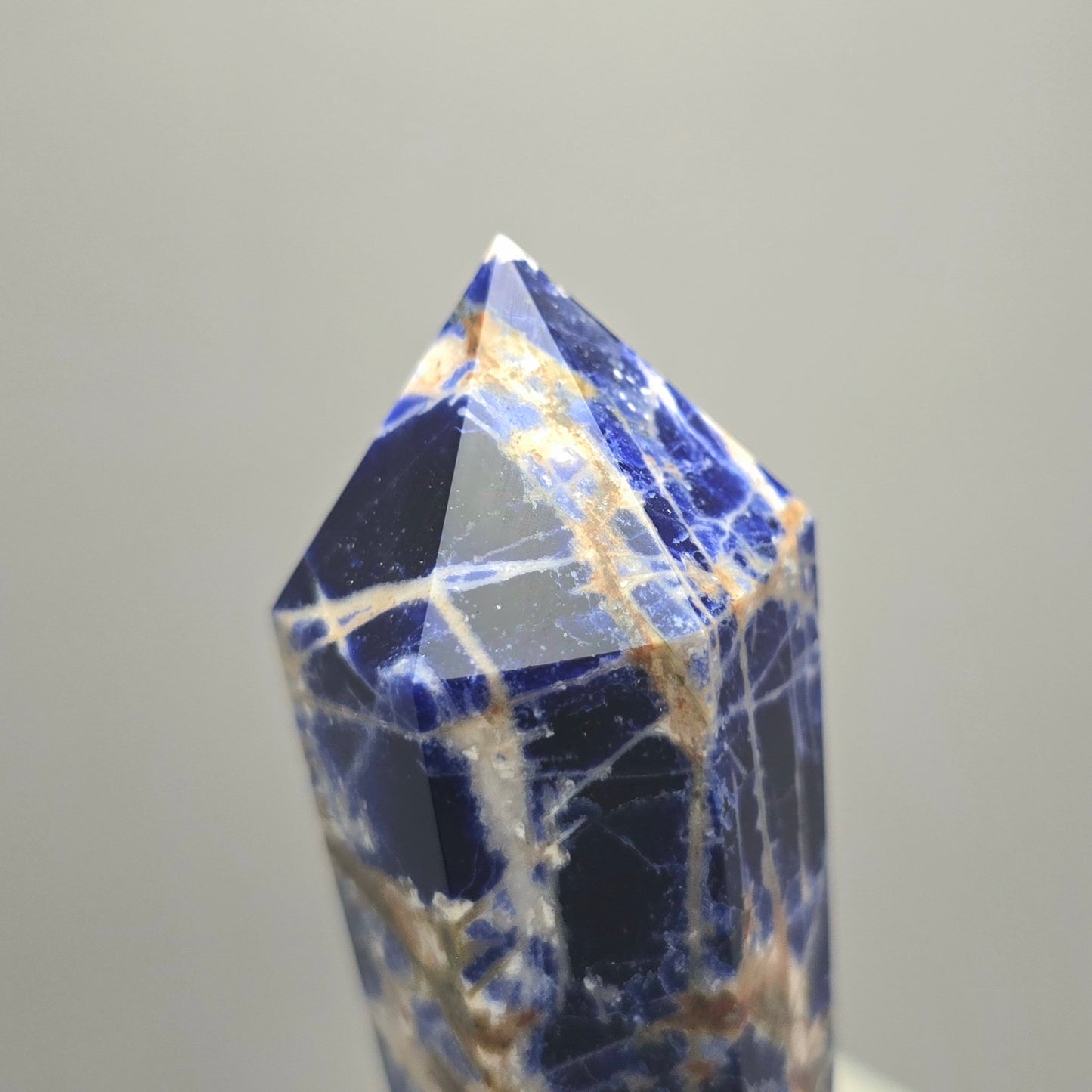 Sodaliet Scepter in houder