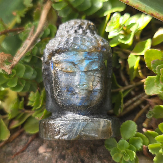 Labradoriet Buddha hoofd