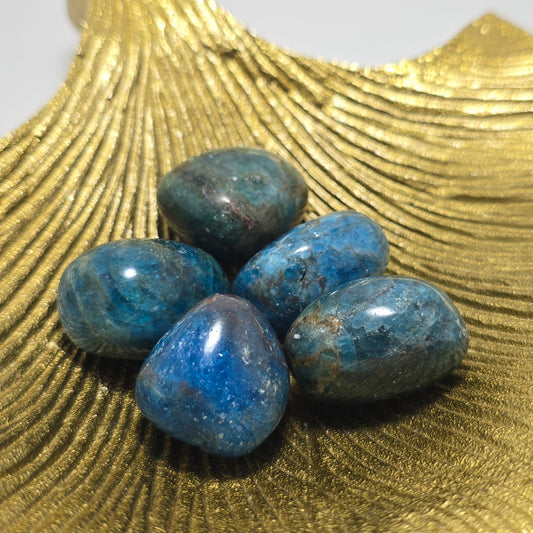 Trommelstenen Apatiet (per stuk)