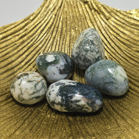 Trommelstenen Mosagaat (per stuk)