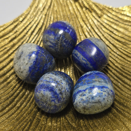 Trommelstenen Lapis Lazuli (per stuk)
