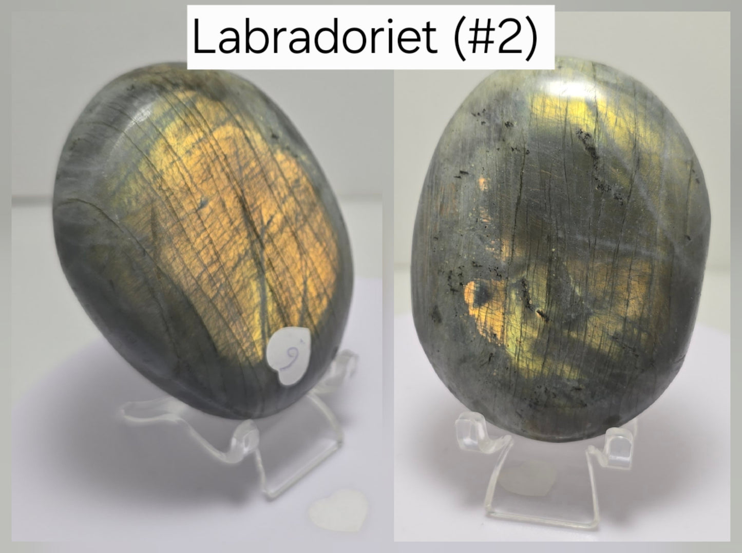 Palmsteen Labradoriet