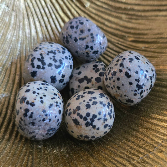 Trommelstenen Dalmatiër Jaspis (per stuk)