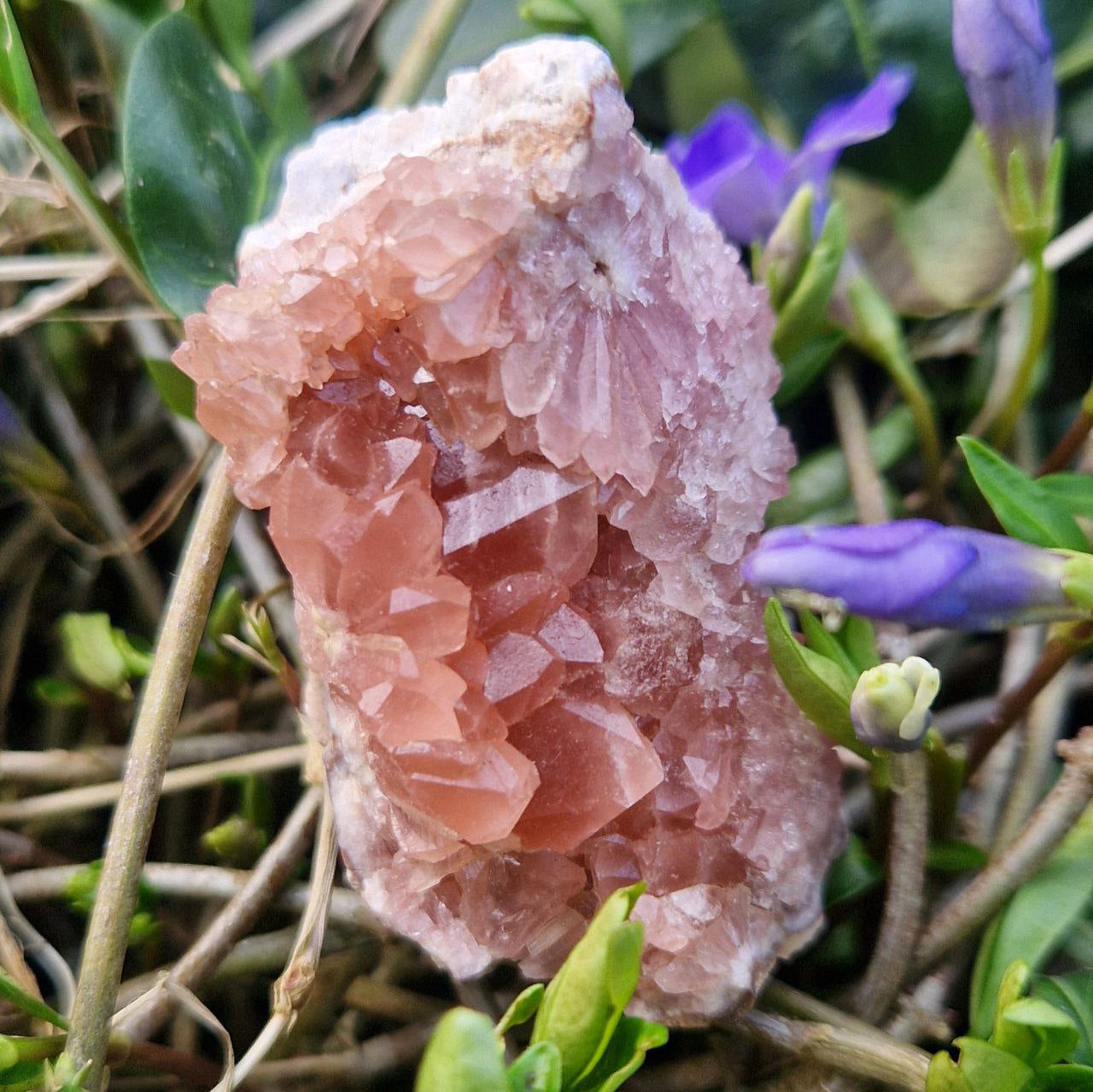 Roze Amethist Geode