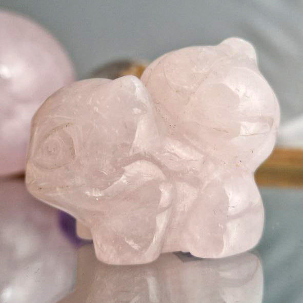 Rozenkwarts Bulbasaur