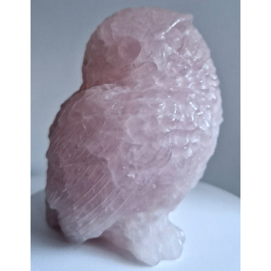 Rozenkwarts Uil (Realistisch)