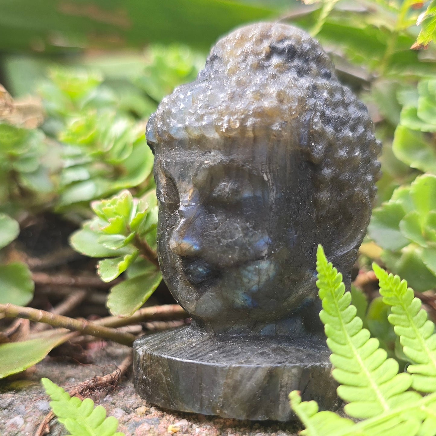 Labradoriet Buddha hoofd