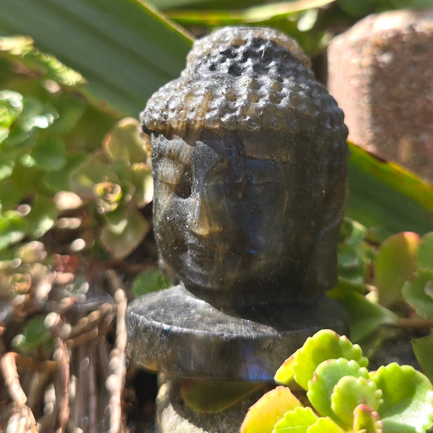 Labradoriet Buddha hoofd