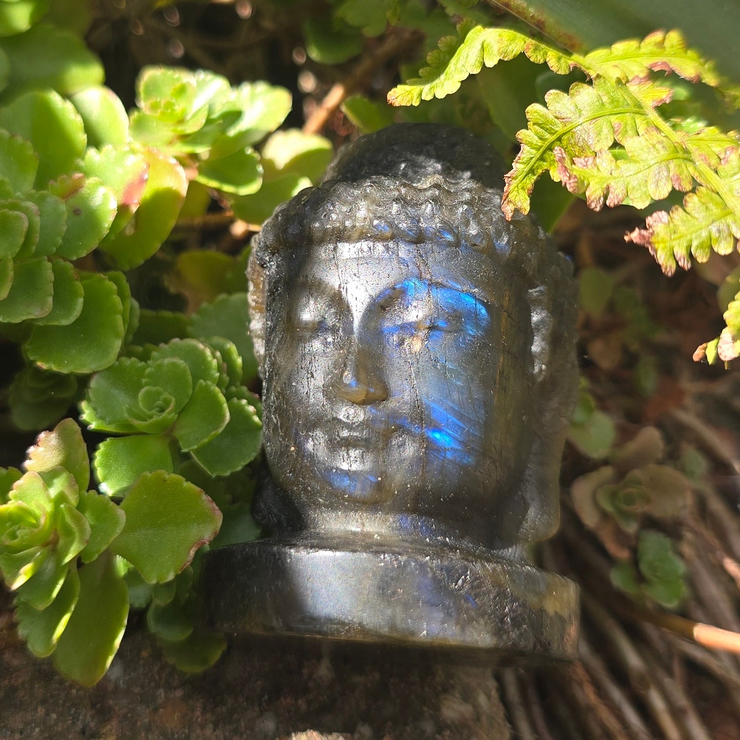 Labradoriet Buddha hoofd
