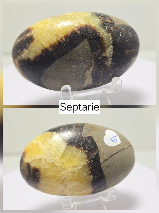 Palmsteen Septarie